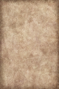 动物皮肤羊皮纸 Vignette Grunge 纹理样本