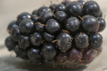 莓果黑莓