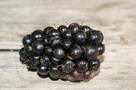 莓果黑莓