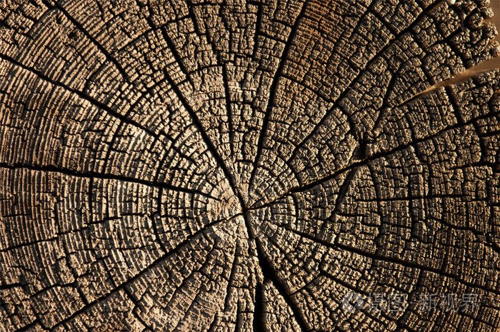 旧木板的质地..旧的木头背景。旧的粗糙的木板作为背景