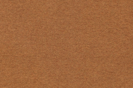 棕色的大豆粗图片