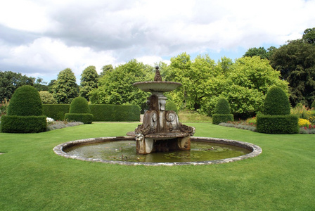 花园喷泉草图片