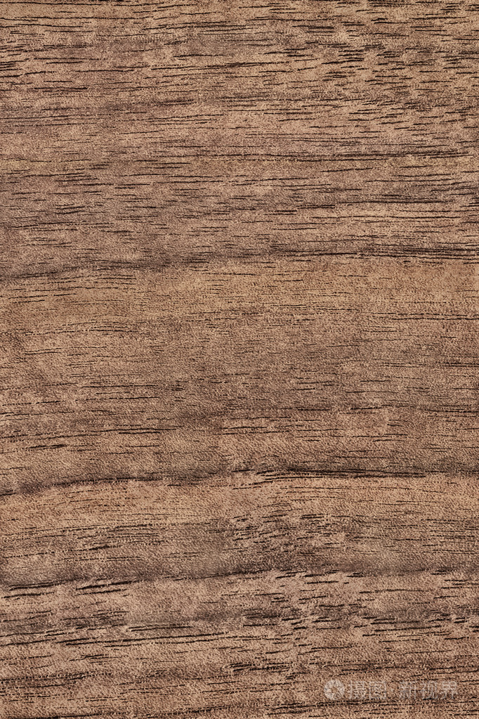 核桃木单板 grunge 纹理样本