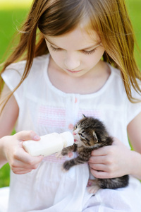 女孩用牛奶喂小小猫
