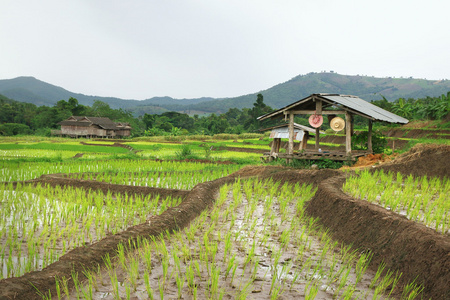 农民的小屋图片