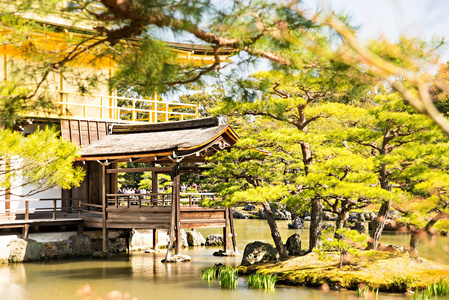 金阁寺 金阁 是旧日本金色城堡，金华山