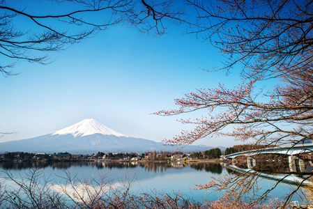 湖的本栖湖富士山