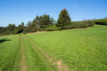 夏季农村夏日风景