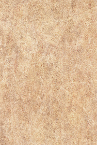 古色古香的动物皮肤牛皮纸 Grunge 纹理样本
