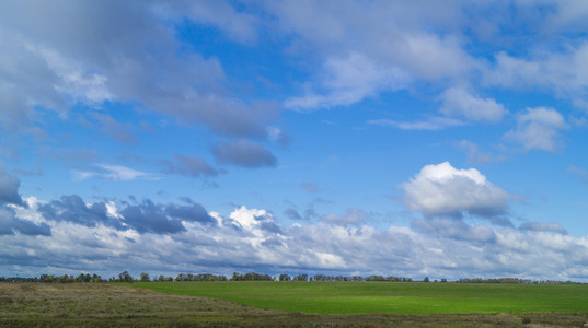 蓝色的天空和地板与绿色的草本植物的风景