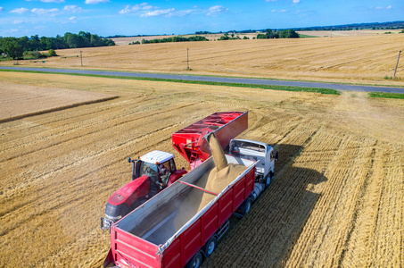 卡车装满小麦种子