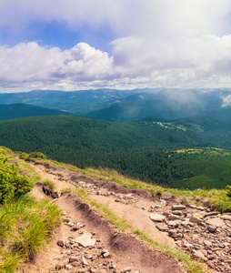 夏天风景