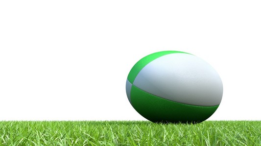 草地上的绿色橄榄球