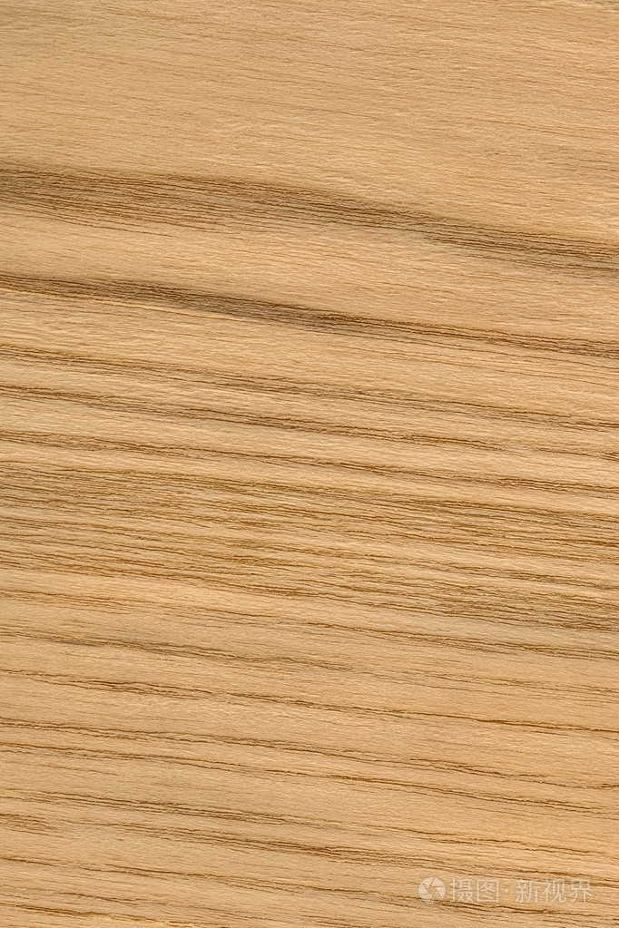 天然橡木木材单板grunge纹理样本