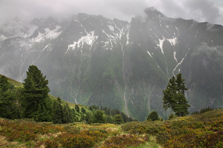 在 Mayrhofen 附近的阿尔卑斯山。蒂罗尔。奥地利