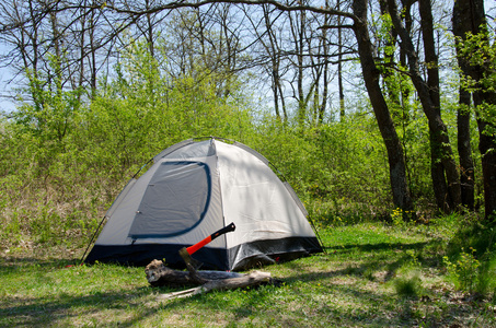 阳光明媚的草原上的露营帐篷
