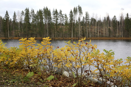 罗科萨尔米湖在 Lomarantala。Tahko。芬兰