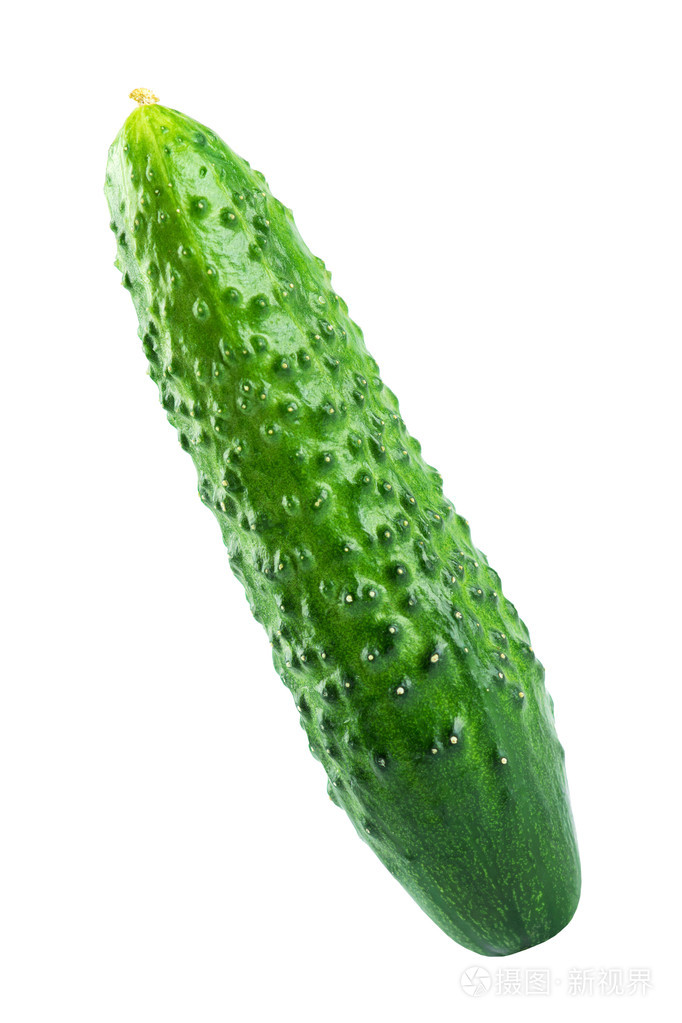 新鲜黄瓜