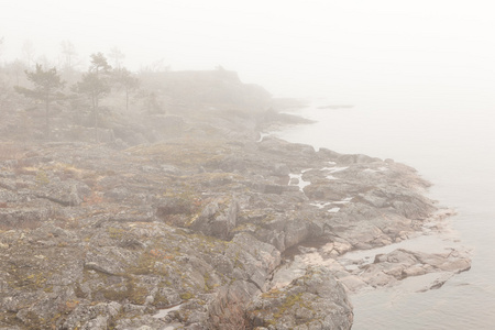 在石质海岸的湖上的雾。春景