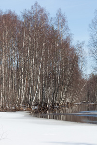 春天的风景。融化的积雪，在河岸上的木头