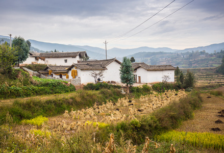 乡村景观与字段和房子