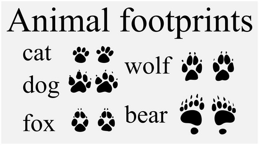 狐狸脚图片-狐狸脚素材-狐狸脚插画-摄图新视界