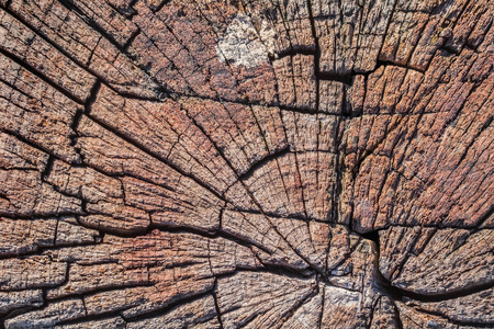 旧沥青风化裂纹的朽木柱顶面截面纹理
