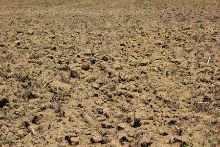 棕钙土棕色土壤, 耕地的耕地照片