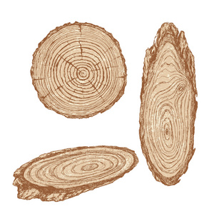 木材纹理的树干树