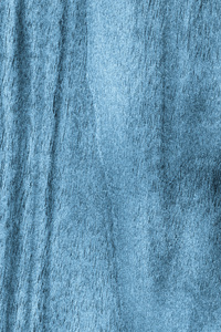 核桃木漂白和染色蓝 Grunge 纹理