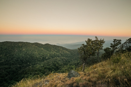 在山的夏天风景