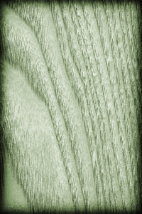 天然枫树木材漂白和染色石灰绿色小插图 Grunge 纹理样本