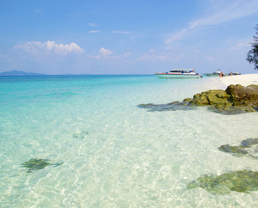 海滩和热带海