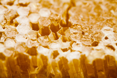 蜂窝填满了蜜