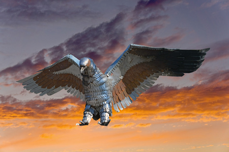 铁的鹰天空背景上的铁鹰照片