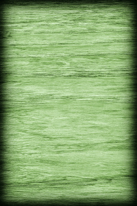 橡木木材漂白和染色绿色小插图 Grunge 纹理样本