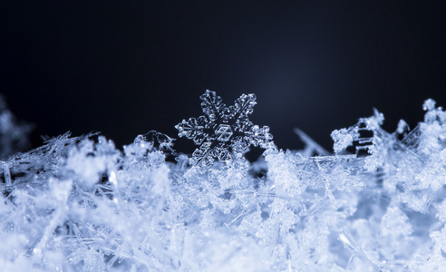 雪花