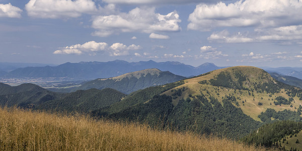 山全景