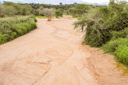干燥的河坏在马拉维