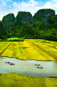 宁平，越南 Ngodong 河穿过稻田