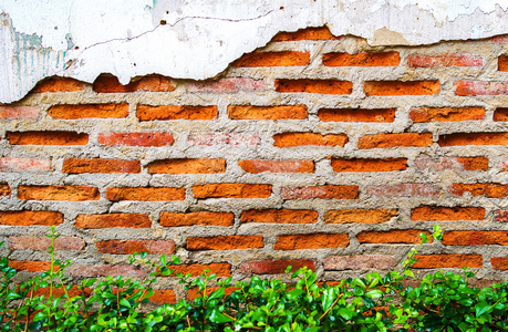 含裂纹的具体表现岁墙面砖
