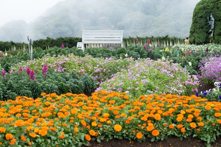 五颜六色的花修补程序