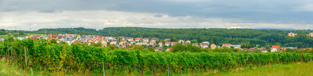 Eisingen 全景