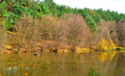 秋季森林湖
