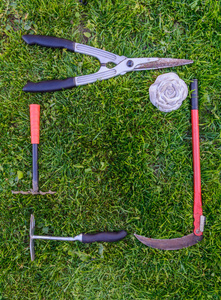 园艺工具在花园里的绿色草地上