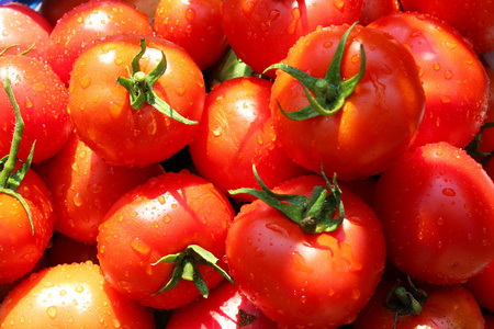 红熟的西红柿