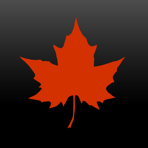 枫叶的轮廓。加拿大的象征。矢量图。Eps 10