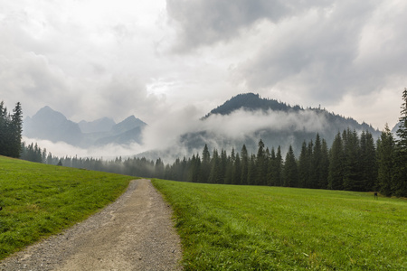 通过雨后山风景