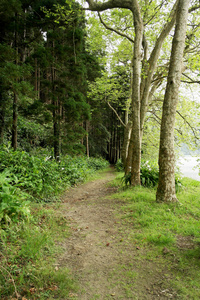 森林铁路, 圣米格尔岛, 葡萄牙