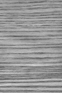 天然橡木木材漂白和染色灰色 Grunge 纹理样本